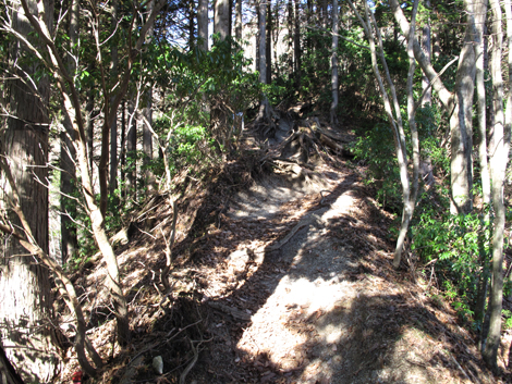 20161206hike (153)